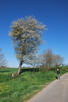DSC 0105