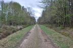 DSC 0049