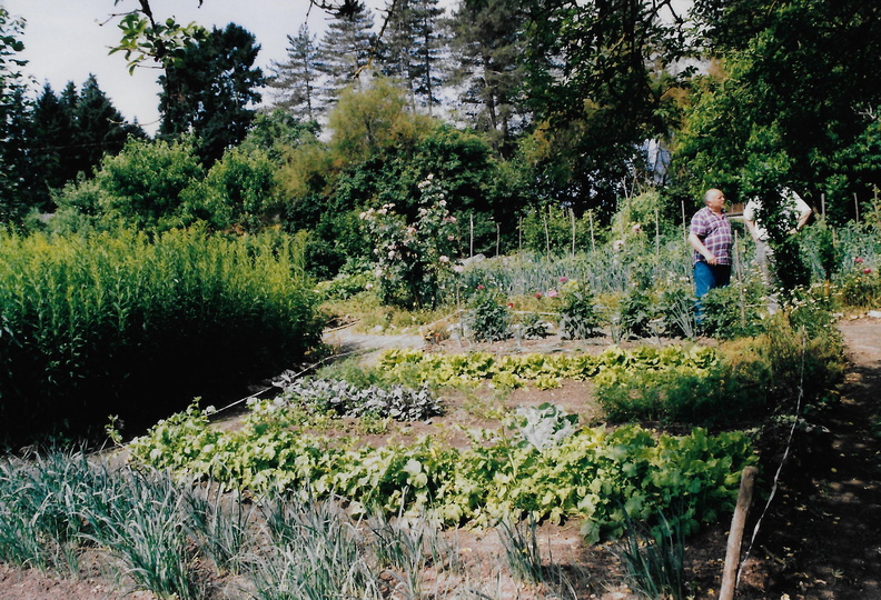 2003 37.jpg