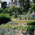 2003 37
