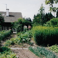 2003 38