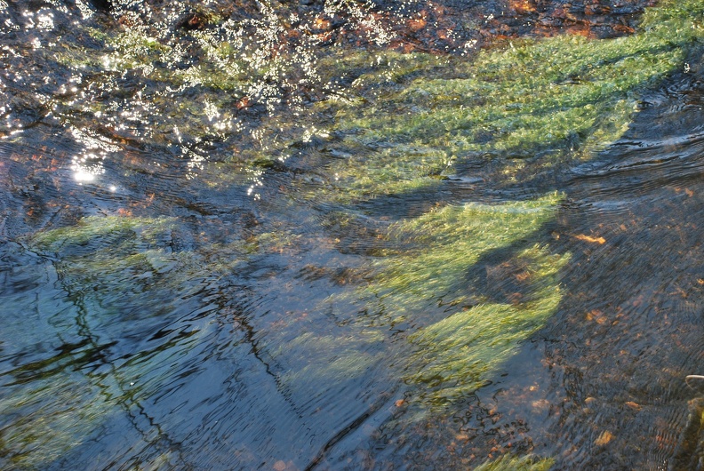 DSC_0362.JPG