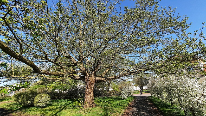 20250405_100019.jpg